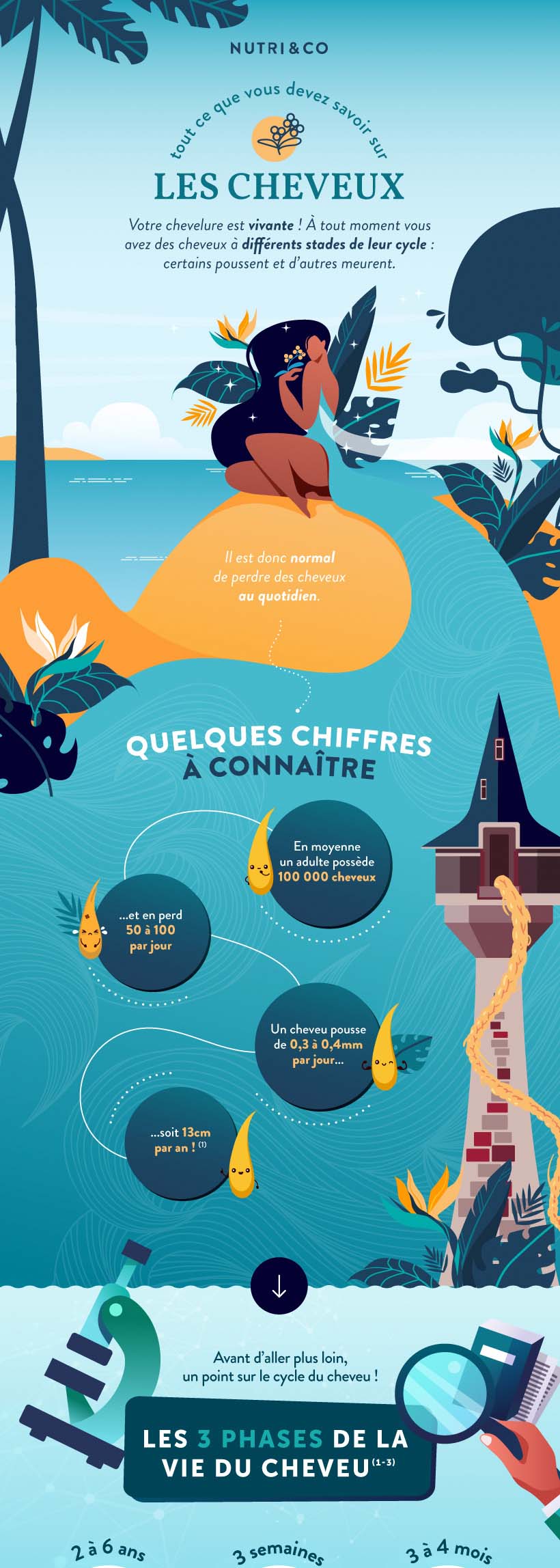 Biotine (Vitamine B8) et Millet en gélules, bienfaits et avis • Nutri&Co