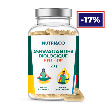 Ashwagandha Bio KSM-66® en gélule : bienfaits, avis et achat