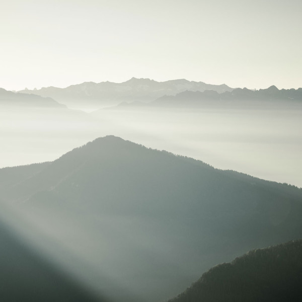 Organic Rhodiola Organic Rhodiola