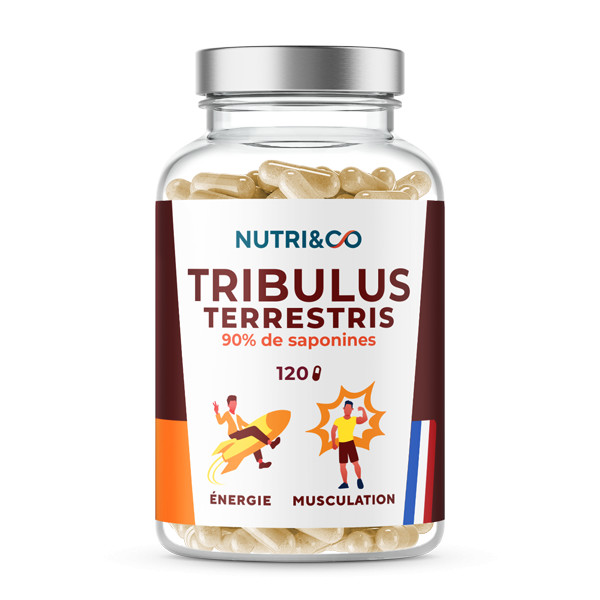 Tribulus terrestris