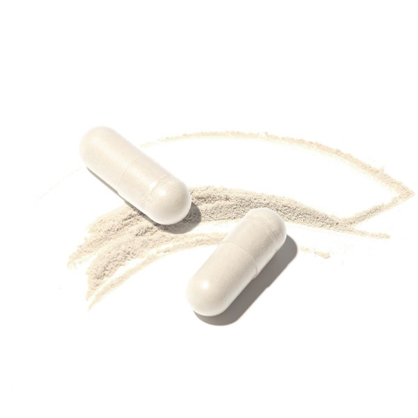 Psycobiotique stress en gélule Psycobiotique stress en gélule