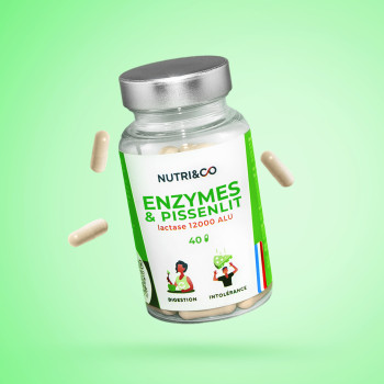 Complément Enzyme et Pissenlit