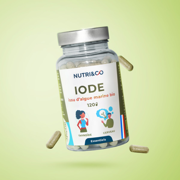 Coenzyme Q10 en gélule (CoQ10) : Bienfaits, Avis et Achat