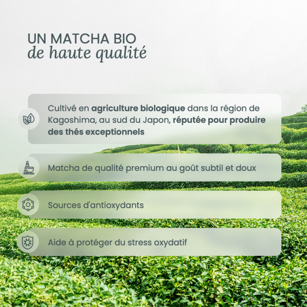 Collagène Matcha Collagène Matcha