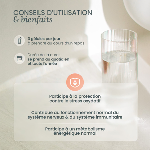 Buy a multivitamin, 14 vitamins and 5 minerals high absorption - Nutri&Co Buy a multivitamin, 14 vitamins and 5 minerals high absorption - Nutri&Co