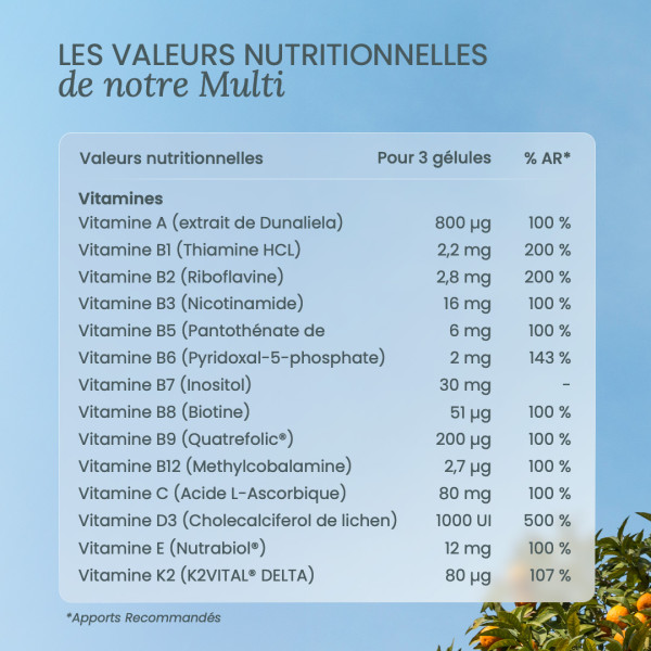 Buy a multivitamin, 14 vitamins and 5 minerals high absorption - Nutri&Co Buy a multivitamin, 14 vitamins and 5 minerals high absorption - Nutri&Co