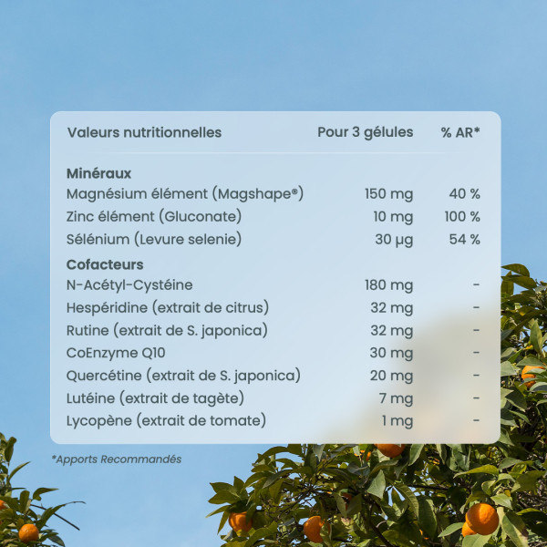 Buy a multivitamin, 14 vitamins and 5 minerals high absorption - Nutri&Co Buy a multivitamin, 14 vitamins and 5 minerals high absorption - Nutri&Co