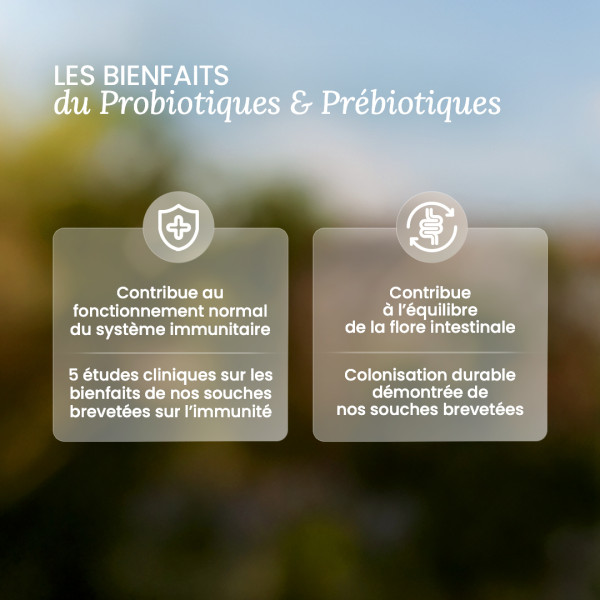 Probiotiques et prébiotiques en gélule : avis et achat - Nutri&Co Probiotiques et prébiotiques en gélule : avis et achat - Nutri&Co