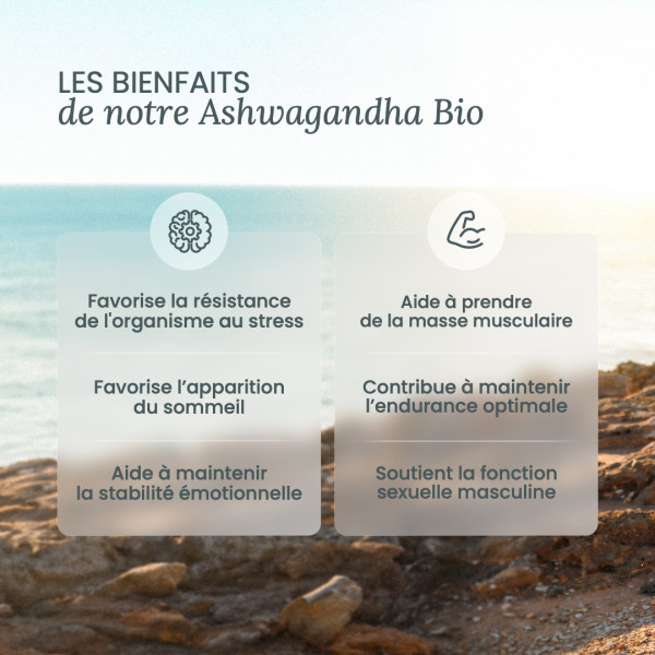 Ashwagandha Bio KSM-66® en gélule : bienfaits, avis et achat Ashwagandha Bio KSM-66® en gélule : bienfaits, avis et achat