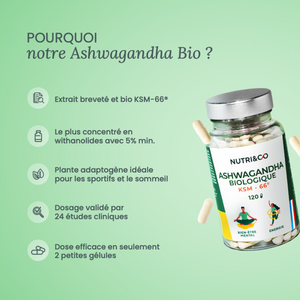 Ashwagandha Bio KSM-66® en gélule : bienfaits, avis et achat Ashwagandha Bio KSM-66® en gélule : bienfaits, avis et achat