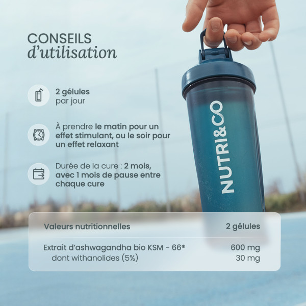 Ashwagandha Bio KSM-66® en gélule : bienfaits, avis et achat Ashwagandha Bio KSM-66® en gélule : bienfaits, avis et achat