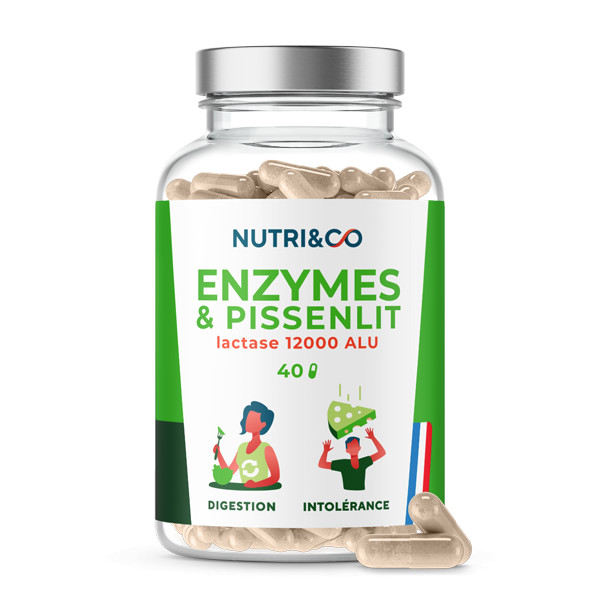 Enzymes & Pissenlit