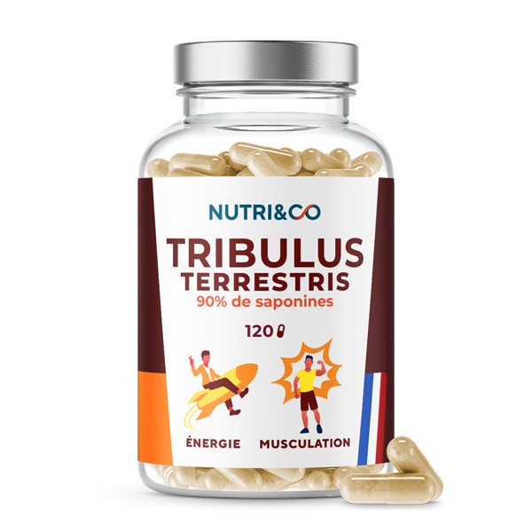 Tribulus terrestris