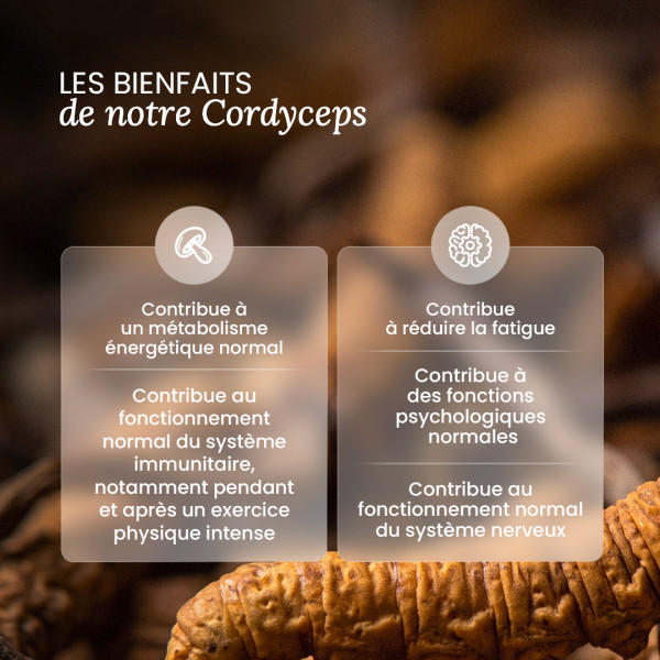 Cordyceps