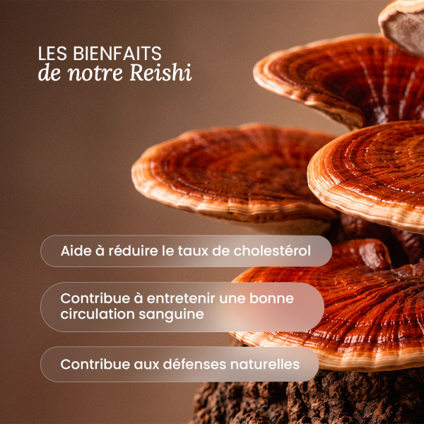 Bienfaits Reishi Nutri&Co