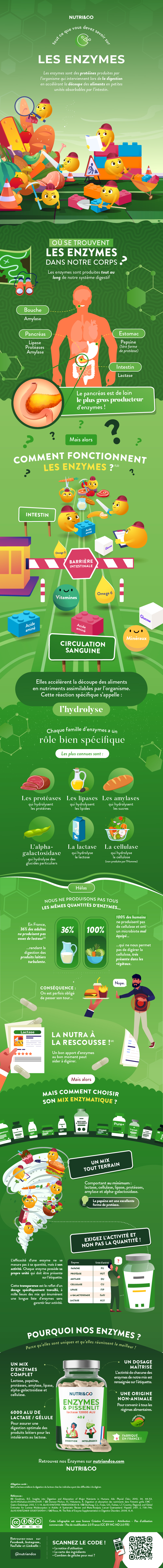 Infographie enzymes digestives