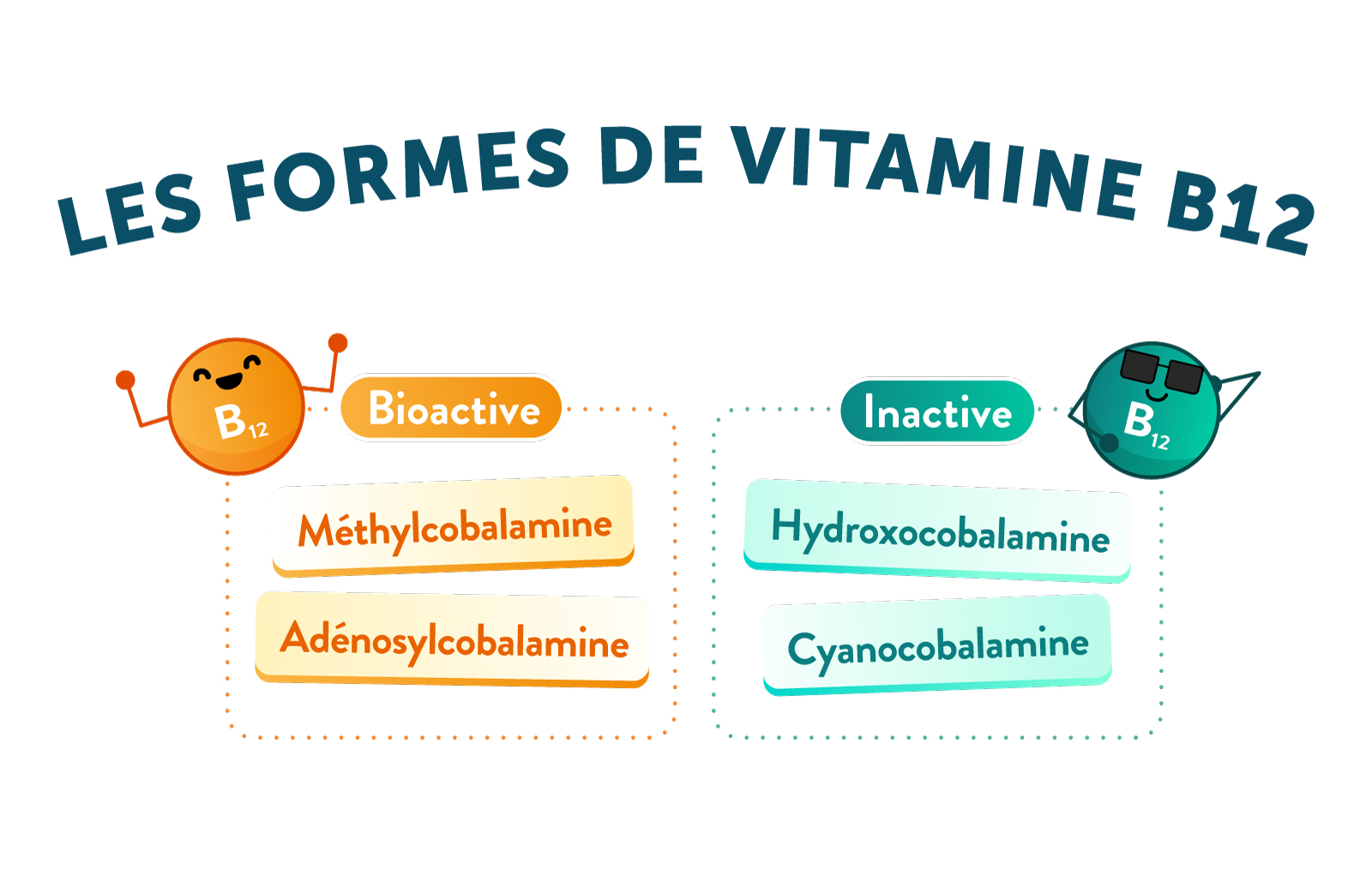 Les formes de vitamine B12