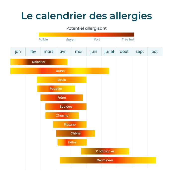 Schéma explicatif des différentes allergies