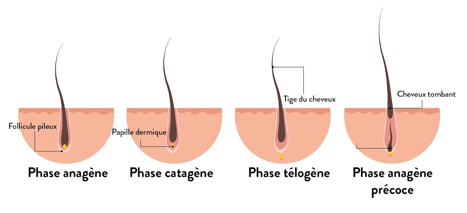 cycle