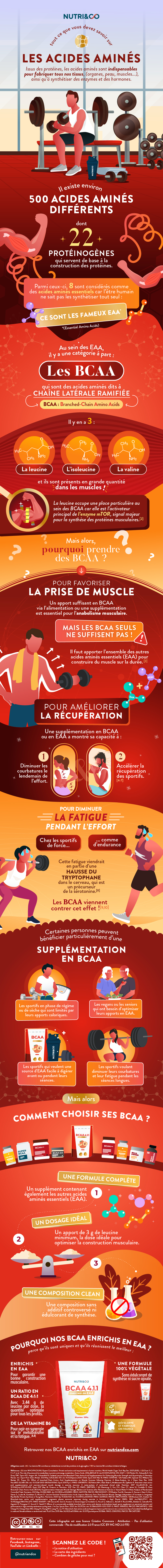 Infographie BCAA