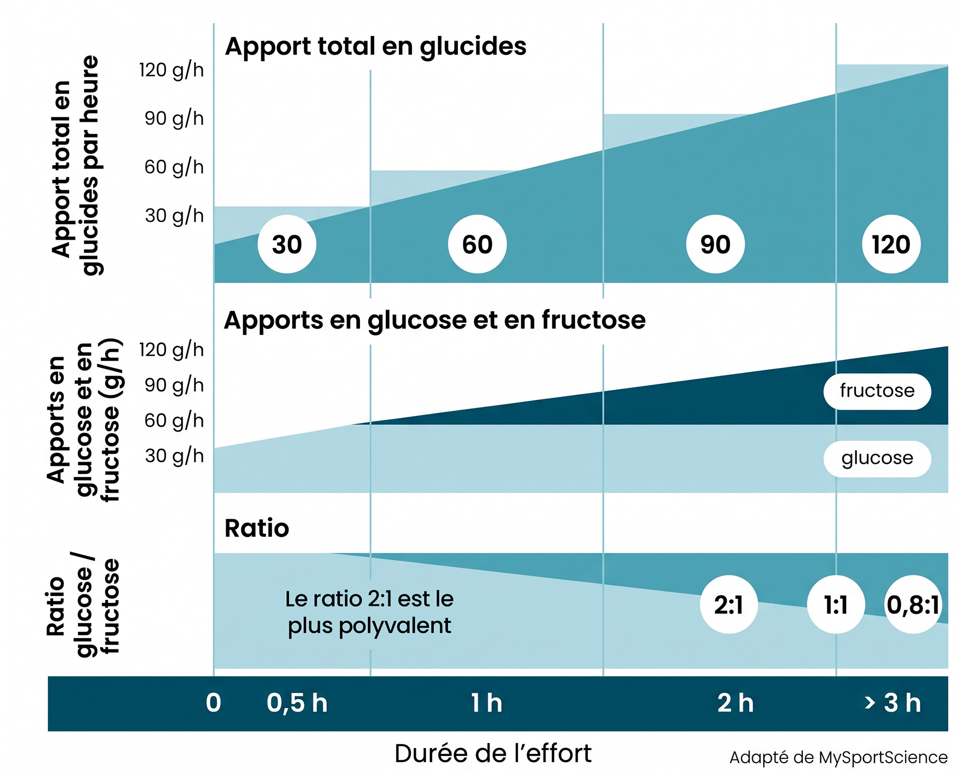 Recommandations glucides