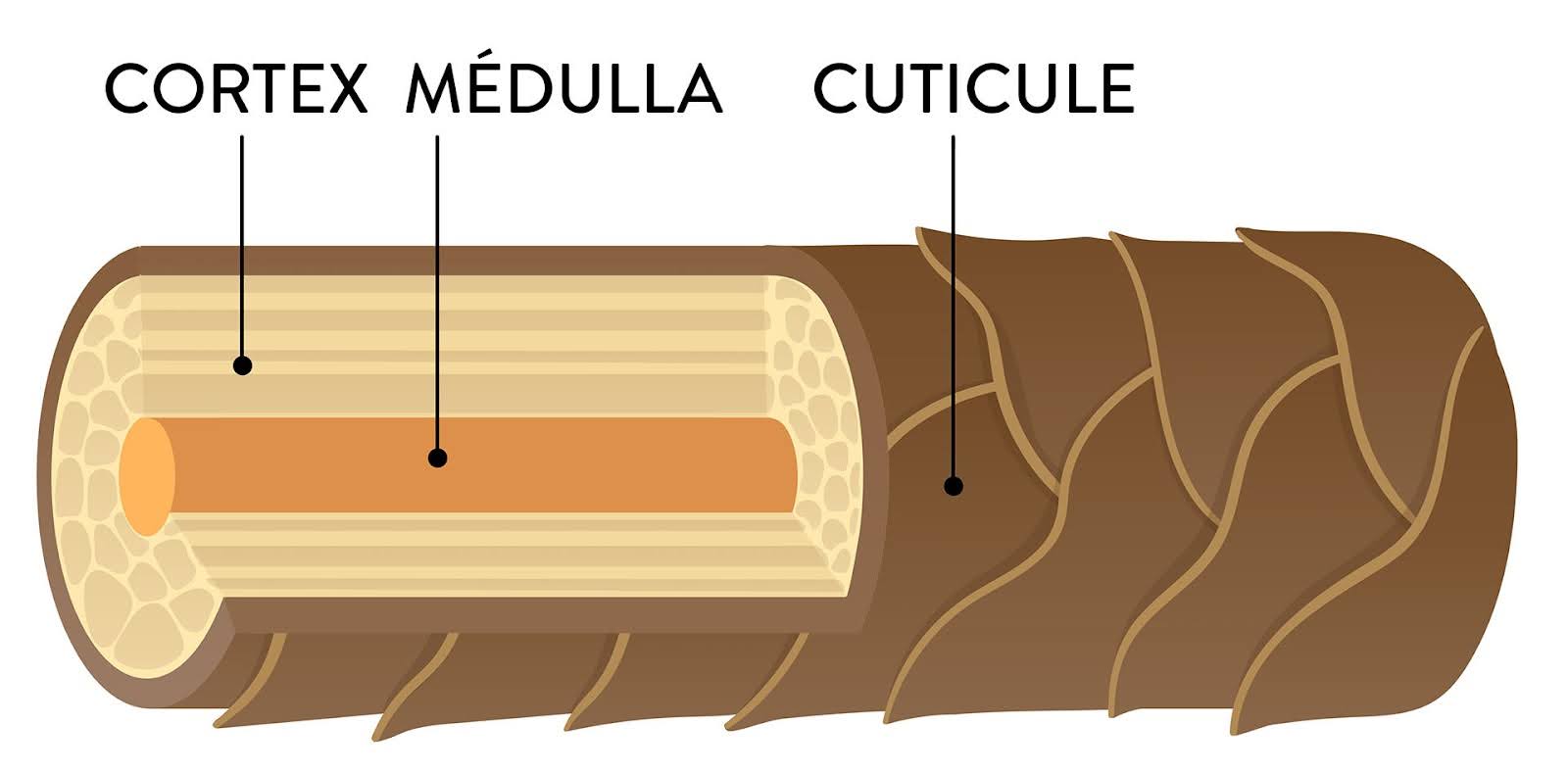 structure