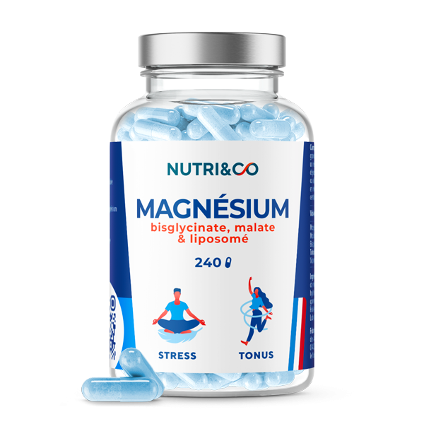 Magnésium B6