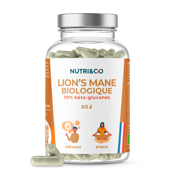 Lion’s Mane