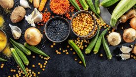 Les Fibres, nos grandes amies oubliées