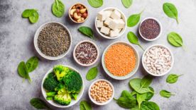 Les protéines végétales : une alternative idéale ?