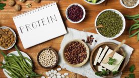 Est-ce que les protéines végétales sont adaptées à la musculation ?