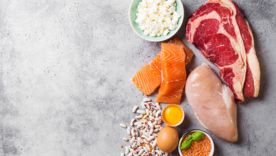 Les aliments riches en protéines végétales