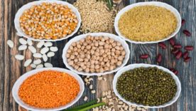 Les aliments riches en fer