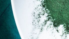 Quelle forme de spiruline choisir pour votre cure ?