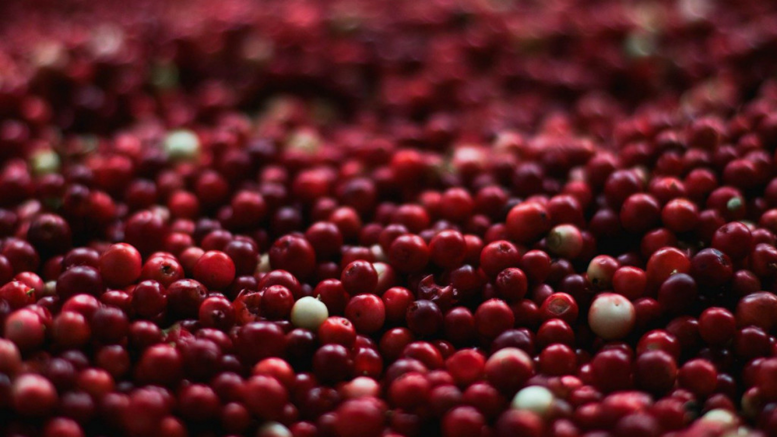 Quelles sont les solutions naturelles aux infections urinaires ?