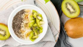 Quelle alimentation pour augmenter ses globules blancs ?