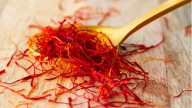 Le safran et le cycle féminin