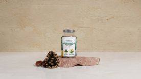 Comment choisir le meilleur ashwagandha ?