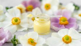 Tout les produits de la ruche