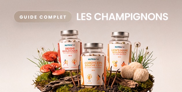 Flacons Nutri&Co de Reishi biologique, Cordyceps souche CS-4 et Lion's Mane biologique posés sur de la mousse, entourés de champignons