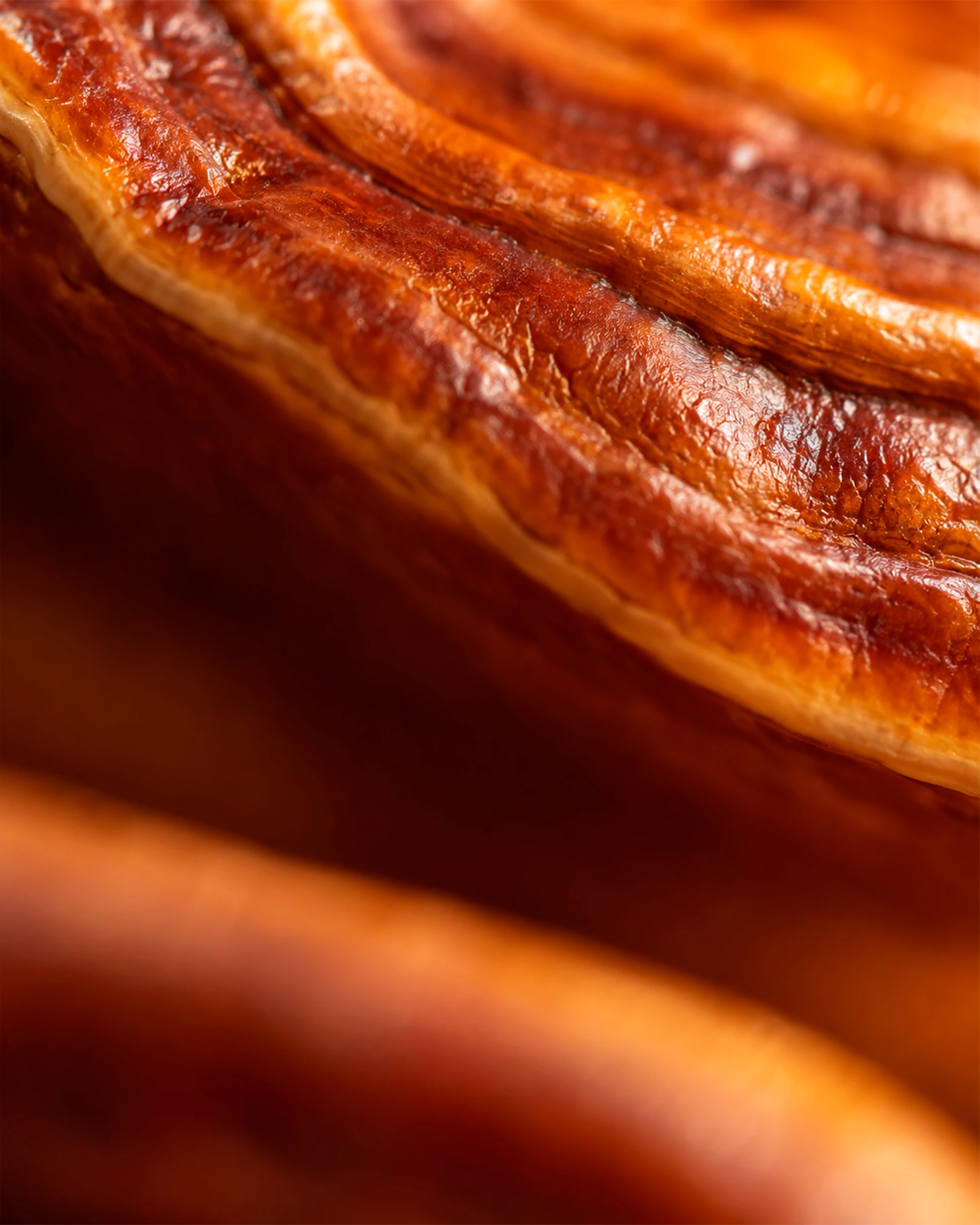 Chapeau de Reishi (Ganoderma lucidum), la fructification utilisée pour l'extrait