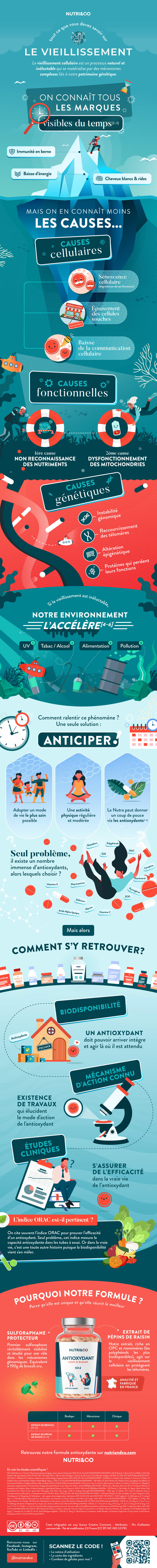 Tout ce que vous devez savoir sur Antioxydant