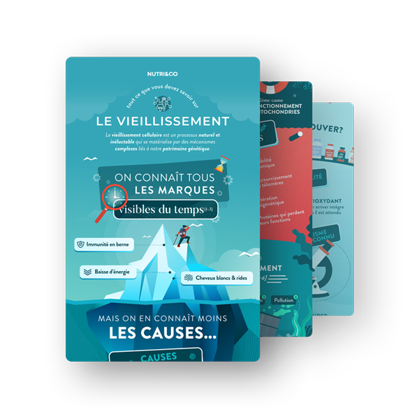 Infographie Antioxydant