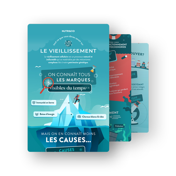 Infographie Antioxydant