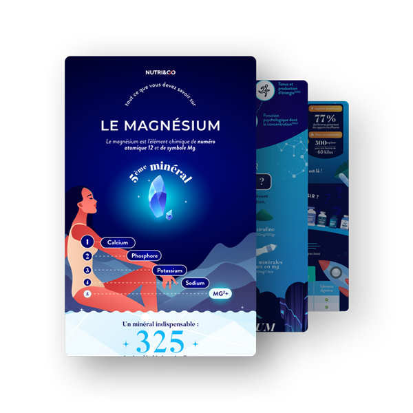 Infographie Magnésium B6