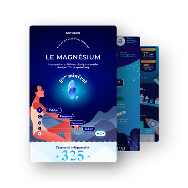 Infographie Magnésium B6