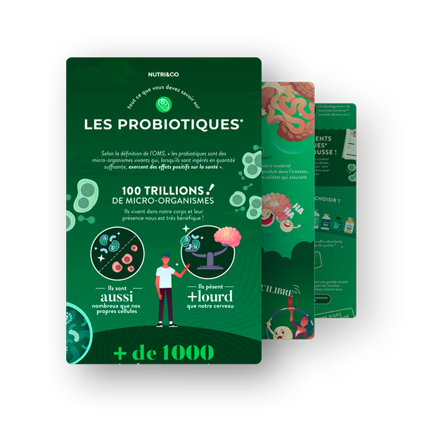 Infographie Probiotiques et prébiotiques