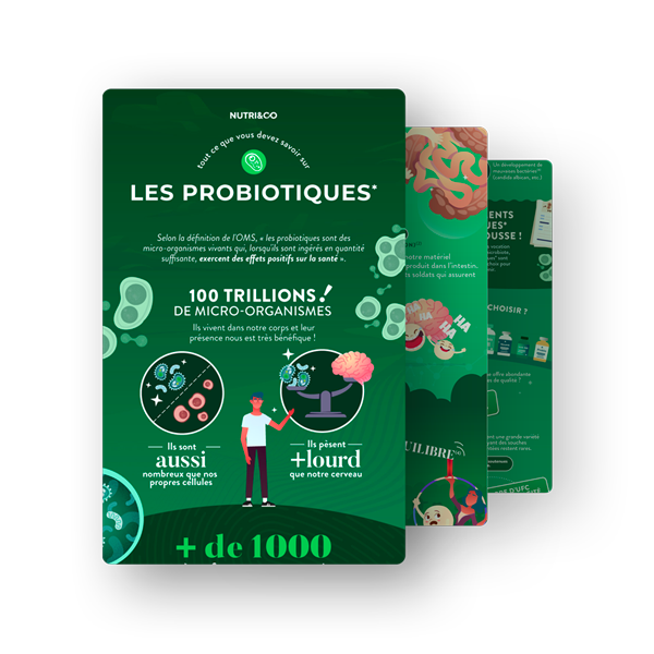 Infographie Probiotiques et prébiotiques