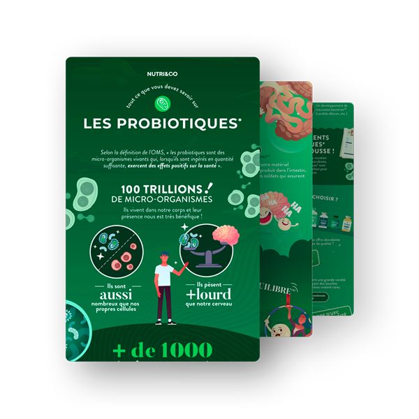 Infographie Probiotiques et prébiotiques