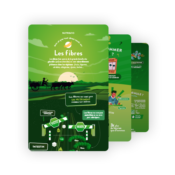 Infographie Fibres Bio